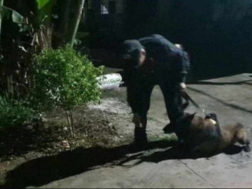 Tin tức 24h: Vụ cháu bé 2 tuổi ở Nghệ An mất tích: Huy động mọi lực lượng, mở rộng thêm địa bàn tìm kiếm