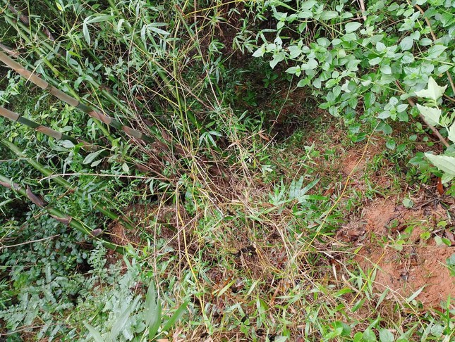 Công an tiếp tục điều tra làm rõ thông tin xung quanh vụ bé 2 tuổi mất tích - 5