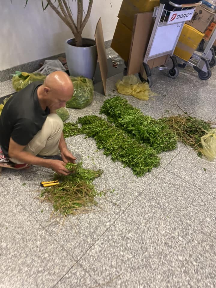 Hình ảnh người đàn ông ngồi nhặt rau ở giữa sảnh sân bay Nội Bài do nhóm anh Kiên chụp lại.