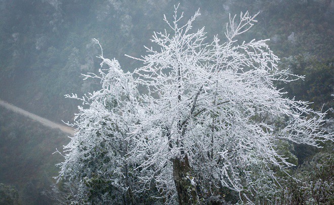 Miền Bắc rét đậm (Ảnh minh họa)