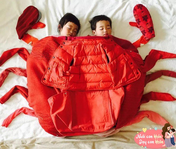 Nhiều cặp sinh đôi có thói quen sinh hoạt, tính cách khác nhau.