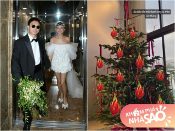Nữ người mẫu mới lấy chồng thiếu gia, trang trí Noel nhưng bị dân mạng chê: Treo cả quả thanh long lên cây thông?