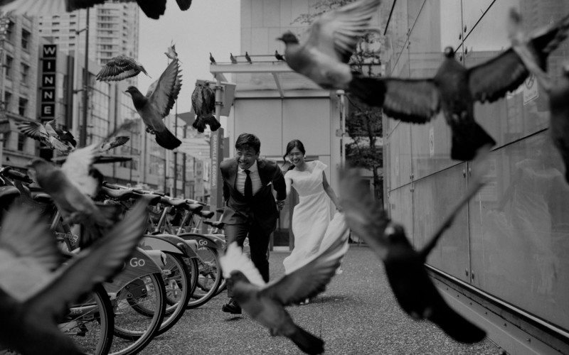 Lại là một bức ảnh đen trắng đã lọt vào chung kết trong hạng mục Đính hôn. Bức ảnh này chụp cảnh một cặp đôi tay trong tay chạy trên đường với đàn chim bồ câu vô cùng sinh động, do nhiếp ảnh gia Candice Anderson (Canada) chụp lại. 
