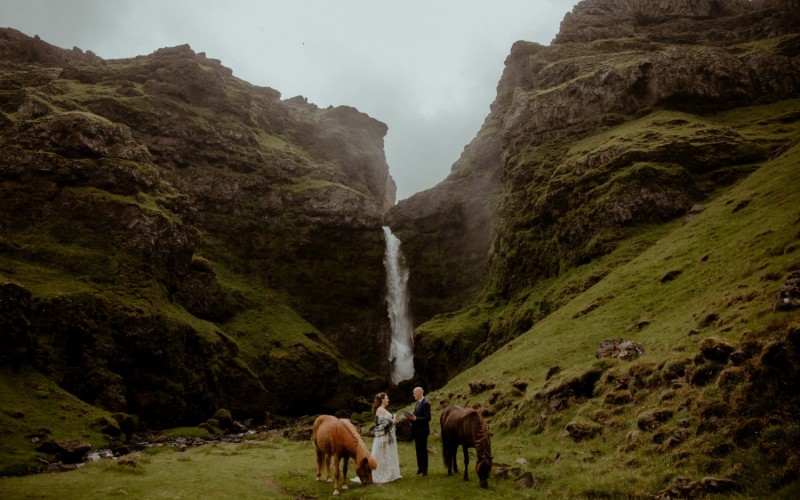 Bức ảnh lọt vào chung kết hạng mục Địa điểm sử thi của nhiếp ảnh gia Natalia Nikolaichik (Belarus). Sự kết hợp giữa đồng cỏ xanh, đàn bò và thác nước đưa tới cảm giác bình yên, nên thơ đến lạ.
