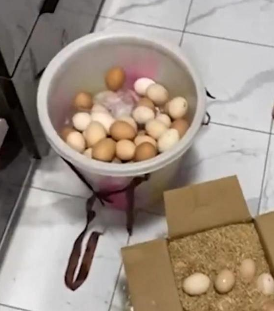 Số trứng mẹ chồng gửi lên cho con dâu nhiều vô kể.