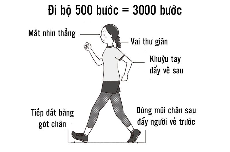 Cách thực hiện: Sải bước chân rộng hơn 1cm có thể tăng sức mạnh chi dưới. Gót chân chạm đất trước sẽ hấp thụ mọi lực tác động và hướng trọng tâm cơ thể về trước, giúp hiệu suất chuyển hóa năng lượng cao.
