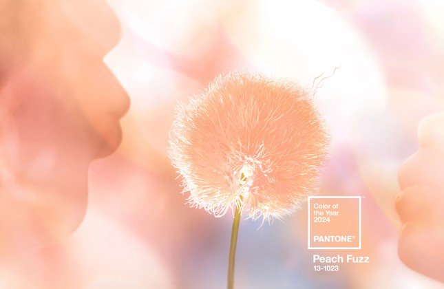 Peach Fuzz - sắc hồng cam lên ngôi 2024, thổi bùng xu hướng thời trang ngọt ngào, trẻ trung - 4