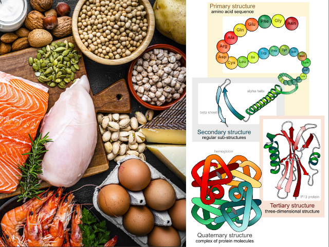 Thực đơn “gọt dáng” dễ nhớ của Lưu Diệc Phi: 5 ngày giảm ngay 5kg - 5