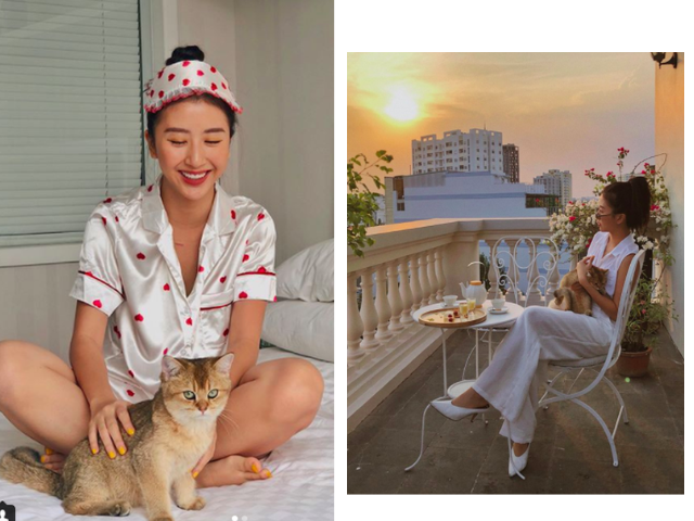 Chim là một chú mèo với bộ lông nâu vàng rất đẹp, đặc biệt nổi bật với đôi mắt to tròn và long lanh cực kỳ.