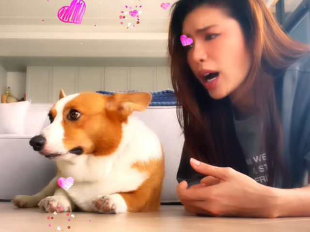 Ngoài Nết Na, Minh Tú còn có chú chó Bảnh tỏn, một thành viên vui nhộn thuộc dòng Corgi.