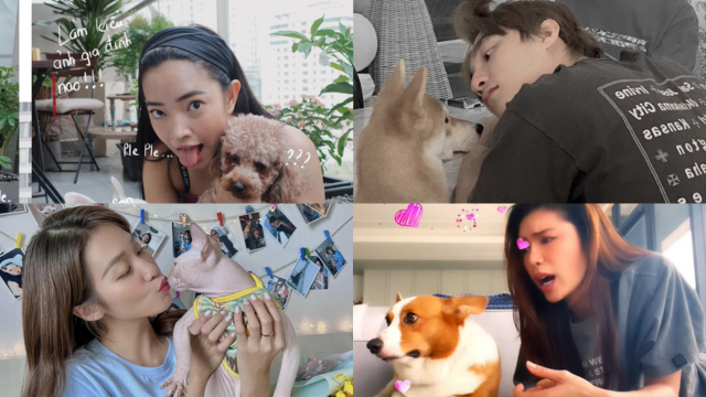 Ngoài đường làm sao hạng A, nhưng về nhà thì nghệ sĩ Việt cũng làm amp;#34;con senamp;#34; cho các amp;#34;boss cưngamp;#34; - 1