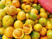 Lifestyle - Loại quả xưa chín rụng đầy ít người ăn, giờ thành đặc sản được dân thành thị "ưa chộng", 220.000 đồng/kg