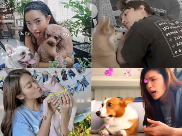 Ngoài đường làm sao hạng A, nhưng về nhà thì nghệ sĩ Việt cũng làm con sen cho các boss cưng