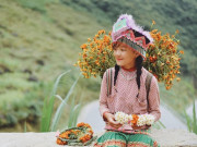 Lifestyle - Ghé Hà Giang chiêm ngưỡng mùa hoa dại rực rỡ, mọc trên sỏi đá vẫn đầy sức sống