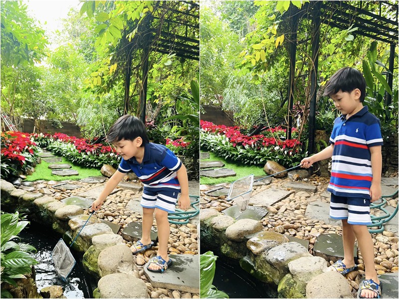 Đàm Vĩnh Hưng chia sẻ mỗi sáng trước khi đi học cậu bé đều "câu giờ" bắt đầu bằng cách đi dạo trong vuờn, chơi với cá, chim một hồi rồi mới lên xe đến trường.
