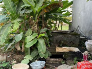 Tin tức - Tình tiết ly kỳ vụ hài cốt người phụ nữ được tìm thấy trong bể nước sau hơn 10 năm mất tích