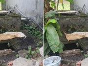 Tin tức - Tin tức 24h: Vụ hài cốt người phụ nữ giao gas mất tích bí ẩn 13 năm, nhận định bị sát hại rồi phi tang trong bể nước