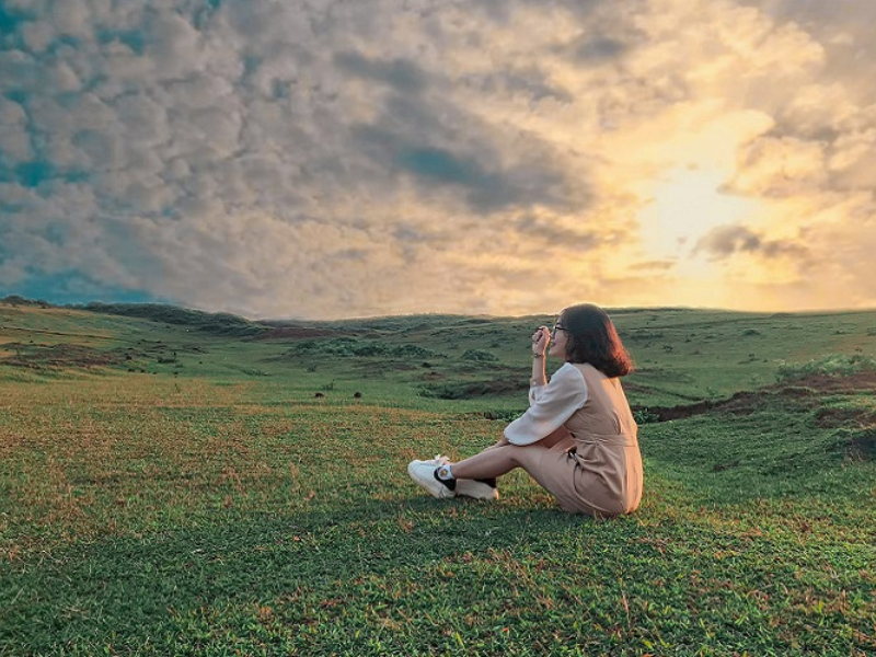 Bùi Hui không chỉ có đồng cỏ xanh mà còn có những ngọn đồi hoa sim vô cùng lãng mạn.
