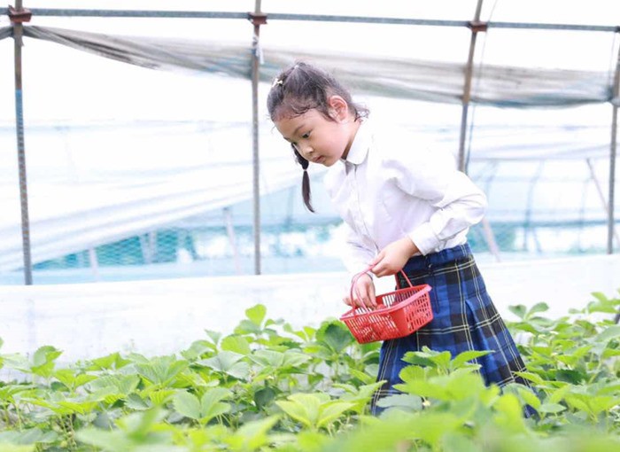 Lấy chồng Trung Quốc, Hoa hậu Hương Giang cho con học trường quý tộc ở Hàng Châu, đồng phục đắt hơn túi hiệu LV - 5