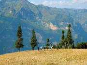 Lifestyle - Phát hiện một "Thụy Sỹ" giữa lòng Hà Giang, đẹp như trời Âu khiến ai cũng mê mẩn