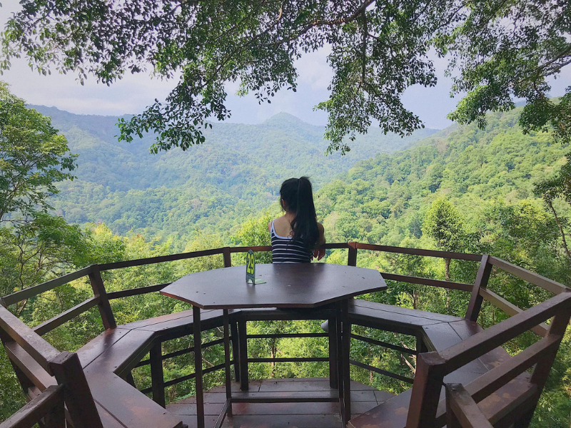 Quán cafe The Giant Chiangmai có kiến trúc và view siêu đẹp.
