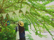 Lifestyle - Khám phá "đóa hồng phương Bắc" của Thái Lan, nơi đi vài bước lại phải dừng để sống ảo