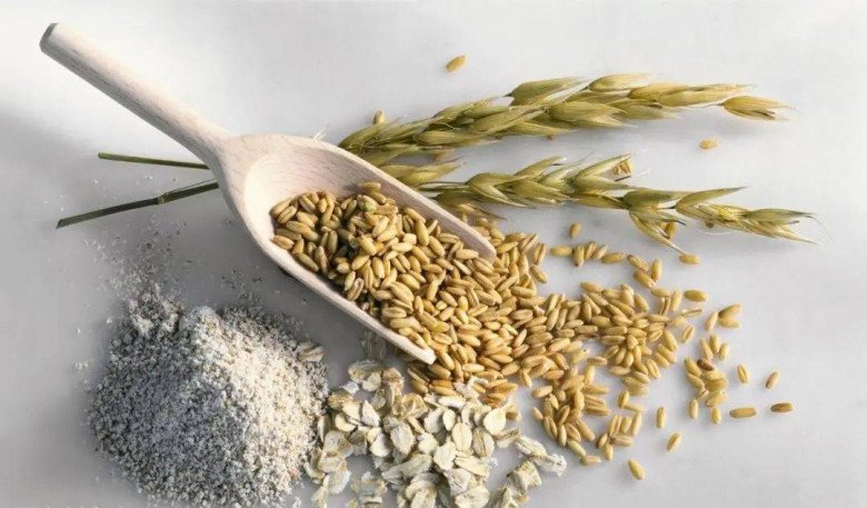 Ăn yến mạch c&oacute; lợi &iacute;ch g&igrave;? V&igrave; sao yến mạch được gọi l&agrave; amp;#34;vua dọn r&aacute;c đường ruộtamp;#34;? - 1