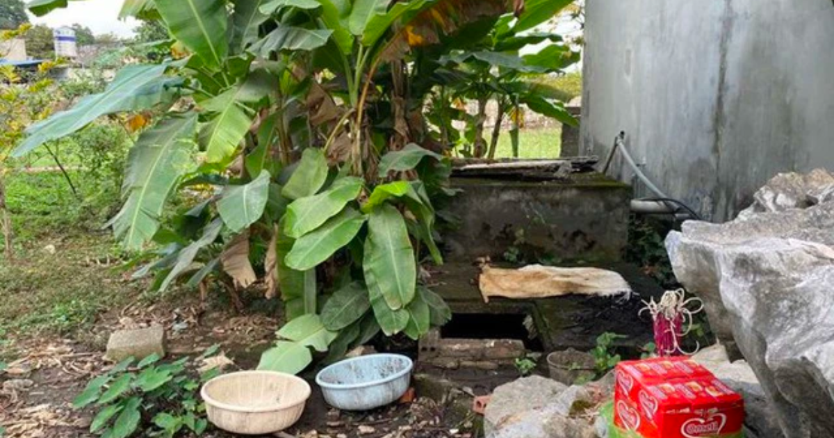 Hiện trường nơi phát hiện vụ việc.