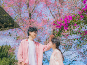 Lifestyle - Những địa điểm ngắm hoa mai anh đào siêu lãng mạn ở Đà Lạt, đẹp không khác gì Nhật Bản
