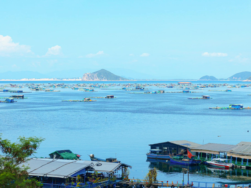 Vịnh Vũng Rô là vùng vịnh biển xinh đẹp, hoang sơ của mảnh đất thuộc xã Xuân Hòa Nam, huyện Đông Hòa, tỉnh Phú Yên.
