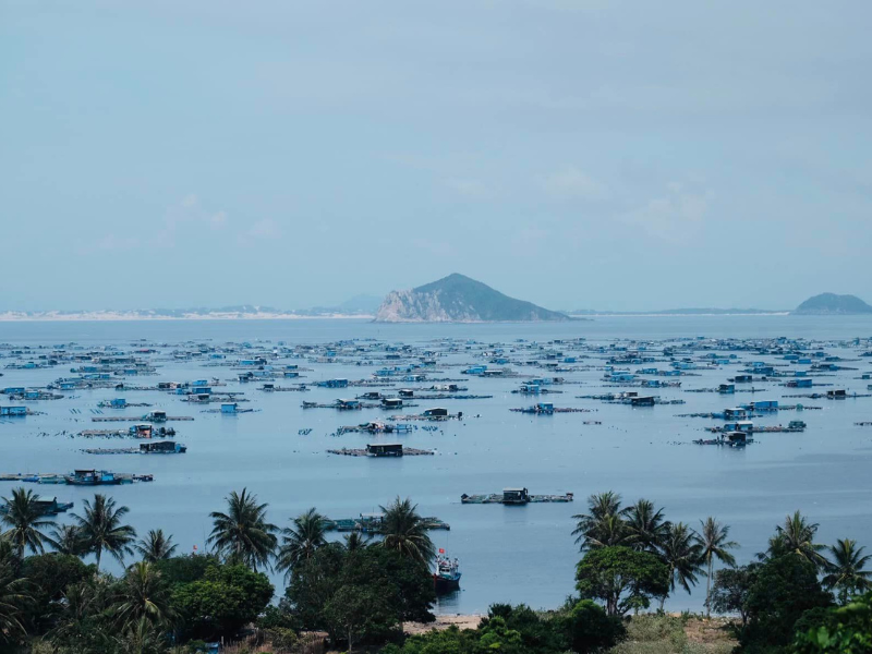 Vịnh trải dài trong diện tích khoảng 16.4 km2 và được bao bọc bởi 3 dãy núi cao hùng vĩ giữa biển trời gồm Đèo Cả (ở hướng Bắc), Đá Bia (ở hướng Đồng) và Hòn Bà (ở hướng Tây) và được đảo Hòn Nưa ở hướng Nam che chắn.
