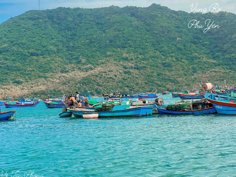 Ven bờ vịnh Vũng Rô Phú Yên có nhiều bãi cát vừa và nhỏ có thể kể đến như Bãi Chùa, Bãi Bàng, Bãi Lau... 
