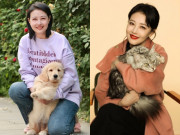 Giải trí - Điều kì lạ từng xảy ra như một dấu hiệu chẳng lành trước khi Châu Hải My qua đời