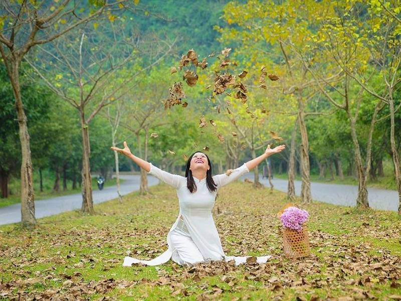 Vào mùa thu - đông, màu lá xanh chuyển thành màu vàng đặc trưng, khiến khung cảnh trở nên vô cùng lãng mạn.
