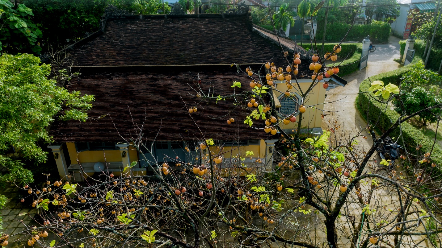 Hòa mình vào không gian xanh.