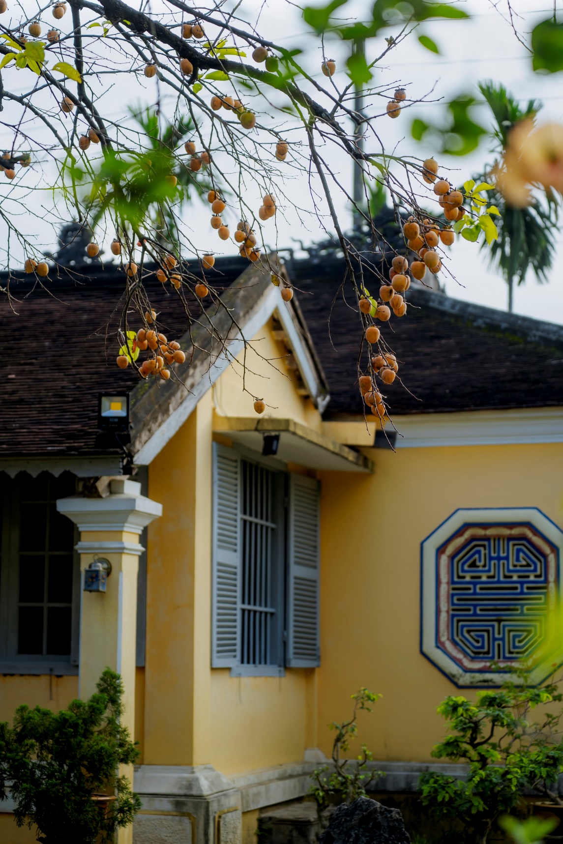 Ngôi nhà cổ kính trong không gian xanh mát.