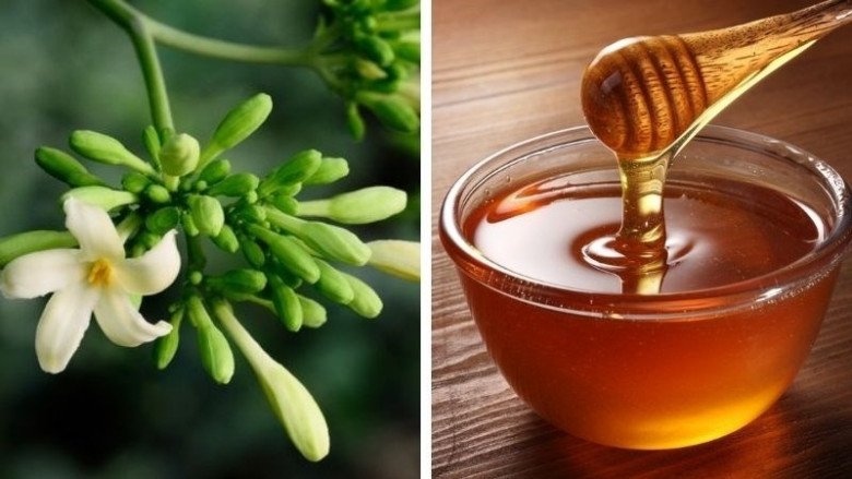 Cách làm mật ong hấp hoa đu đủ đực và đường phèn