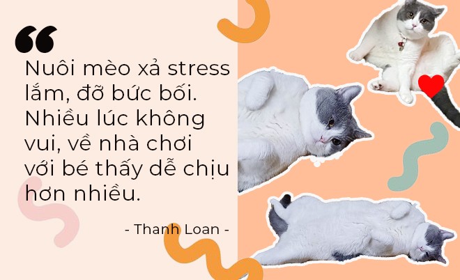 Khi thú cưng là “liệu pháp chữa lành” của người trẻ - 3