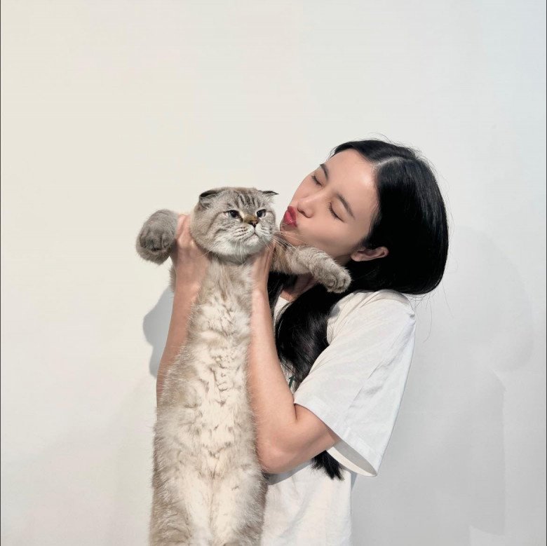 Người trẻ nuôi thú cưng và xem như thành viên trong gia đình. (Ảnh: Jun Vũ)