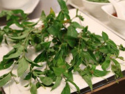 Tiêu dùng - Cây dại làm hàng rào tưởng không ăn được, nay là đặc sản được dân thành phố ưa chuộng, hương vị độc lạ