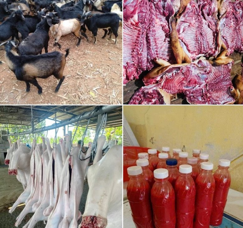 M&oacute;n ăn-đồ uống d&ugrave;ng đầu năm tưởng sẽ may mắn, ai ngờ dễ g&acirc;y hại, m&oacute;n đầu ti&ecirc;n g&acirc;y bất ngờ - 2