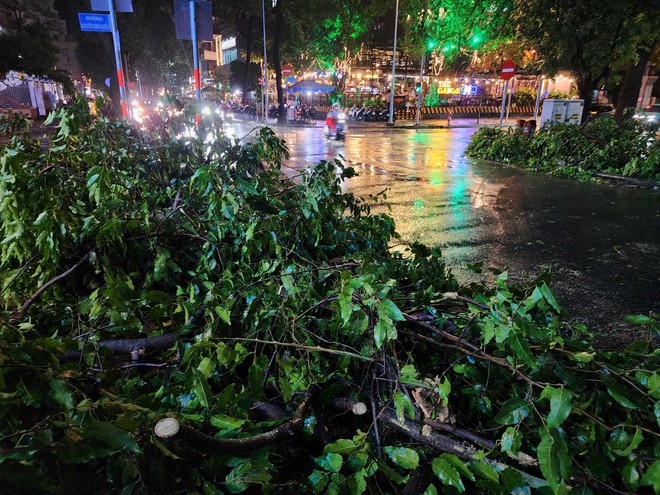 Cây sao tại quận 1 bật gốc, đè trúng 4 người - 3