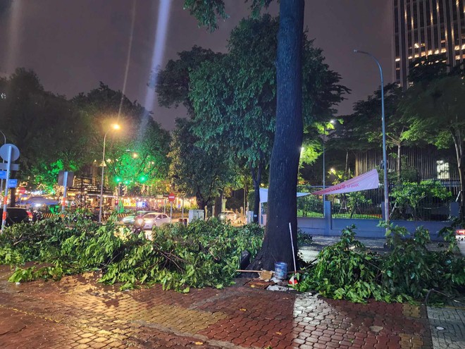 Cây sao tại quận 1 bật gốc, đè trúng 4 người - 2