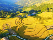 Lifestyle - Mê mẩn khung cảnh tuyệt đẹp ở chân núi Tây Côn Lĩnh