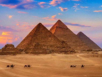 Chú chó hoang sải bước trên kim tự tháp Ai Cập gây xôn xao cộng đồng mạng