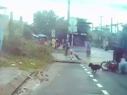 Tin tức - Chó thả rông làm 2 người té ngã ngay bánh xe ben