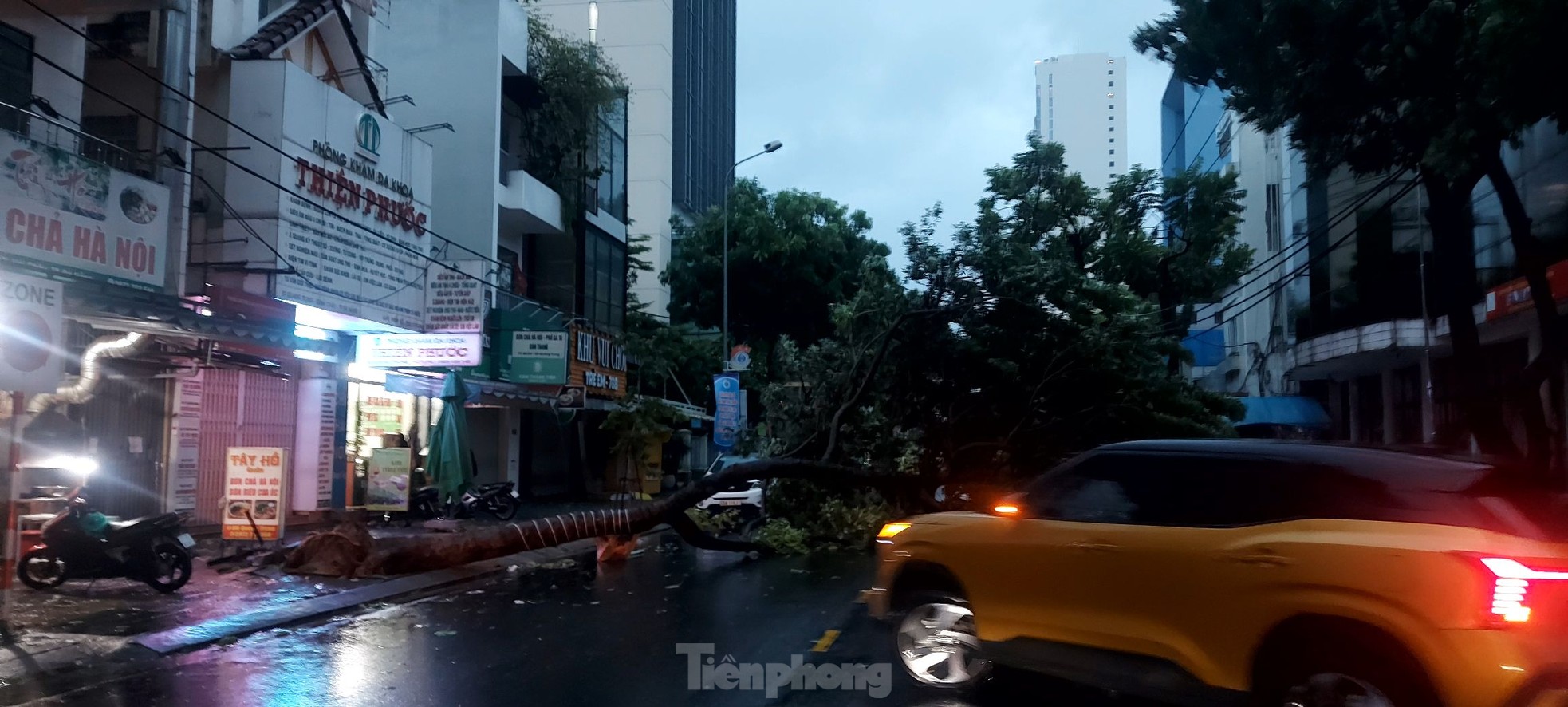 Cây xanh nhiều nơi ngã đổ. Trong ảnh: Cây xanh trên đường Quang Trung đổ từ sáng sớm, chắn ngang đường cản trở việc đi lại của người dân. UBNDTP Đà Nẵng yêu cầu người dân hạn chế ra đường từ 10h ngày 27/10.