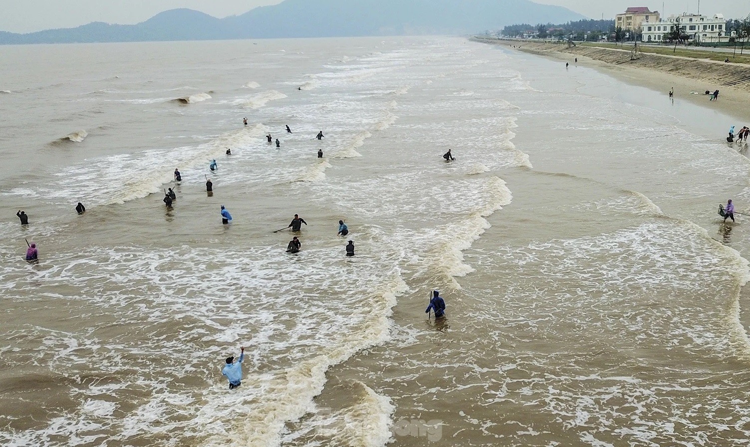 Hai ngày qua, hàng trăm người dân đổ xô ra bờ biển dài hơn 2 km từ xã Thịnh Lộc đến thị trấn Lộc Hà (huyện Lộc Hà, Hà Tĩnh) để vớt “lộc biển” gồm: sò lông, mai, ngao...