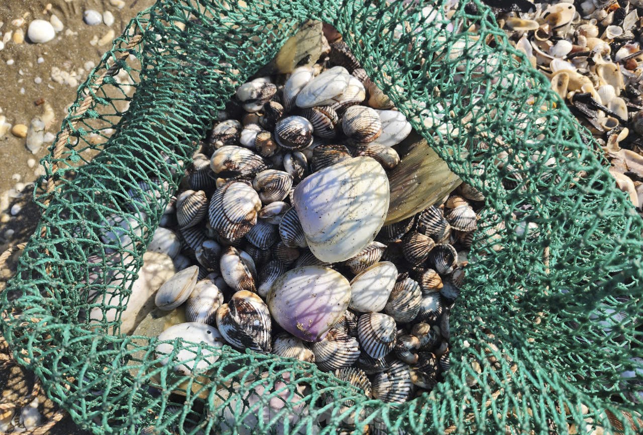 Người dân Hà Tĩnh đổ xô ngâm nước vớt amp;#34;lộc biểnamp;#34; - 9