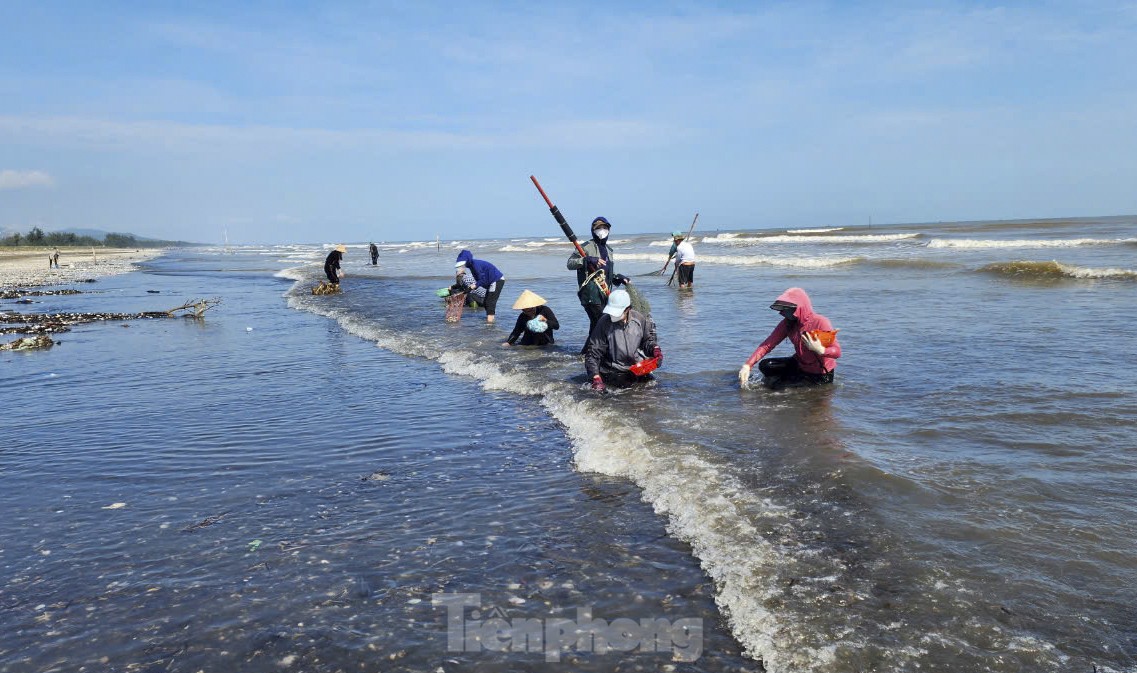 Nhiều phụ nữ, trẻ em sẽ đi dọc bờ để nhặt các loài sò, ngao.